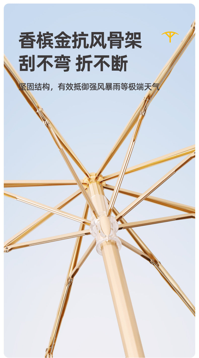 a76d1207-70d2-4af2-9bba-65ea9d1b03e6
