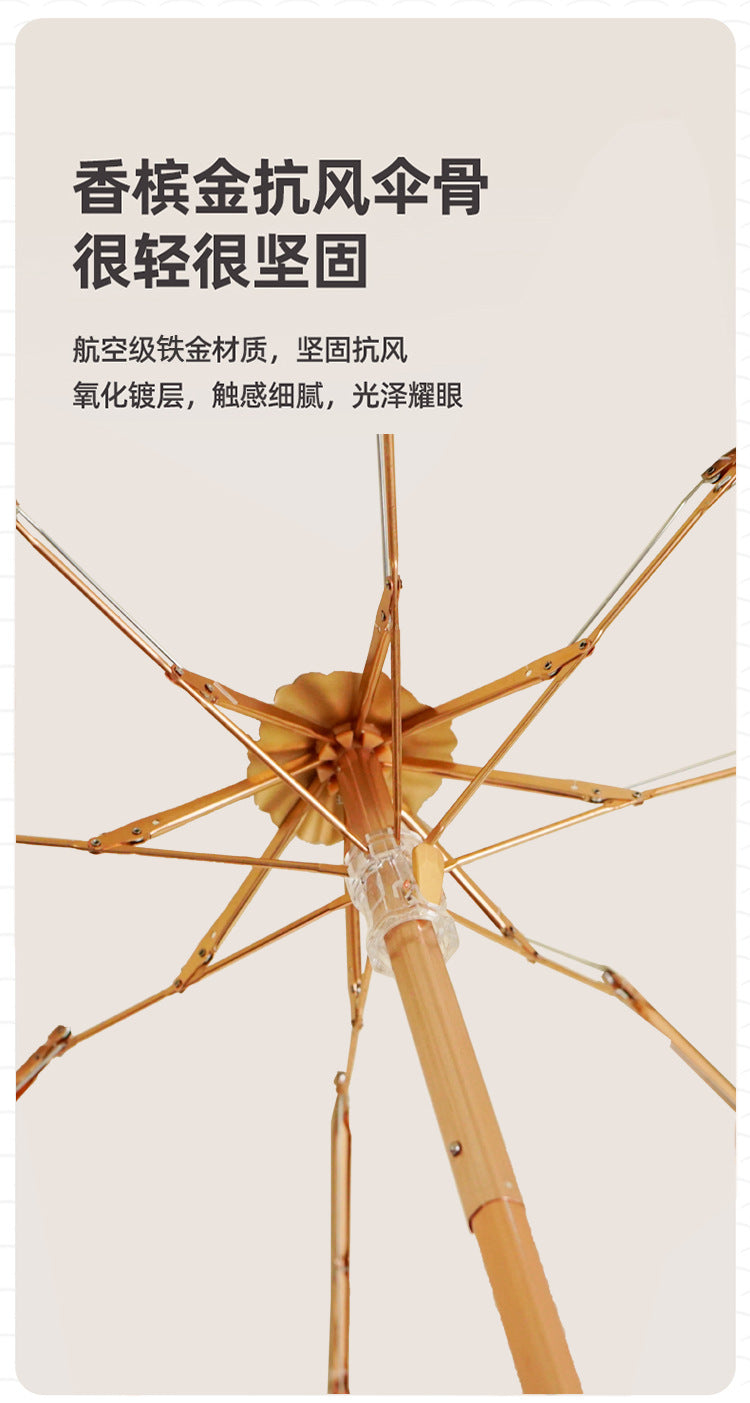 a55c2374-d858-4ec2-9a5c-84ddee8ef98a