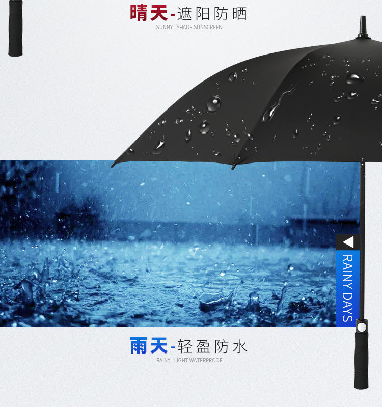 41ece6da-7a4d-4b6e-bc33-806b3e314636